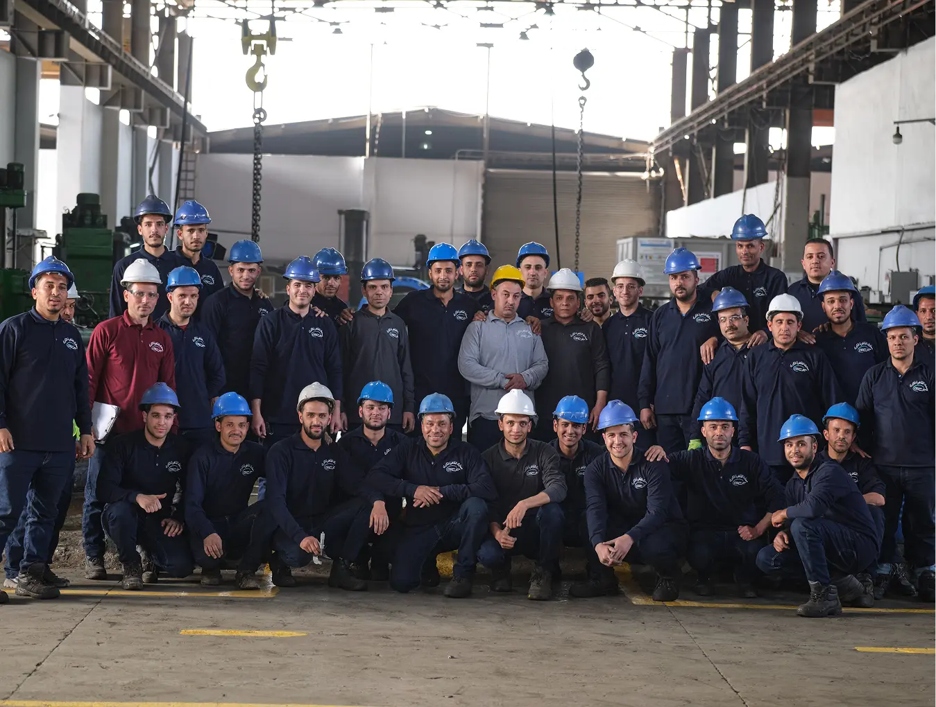 Our team of professionals