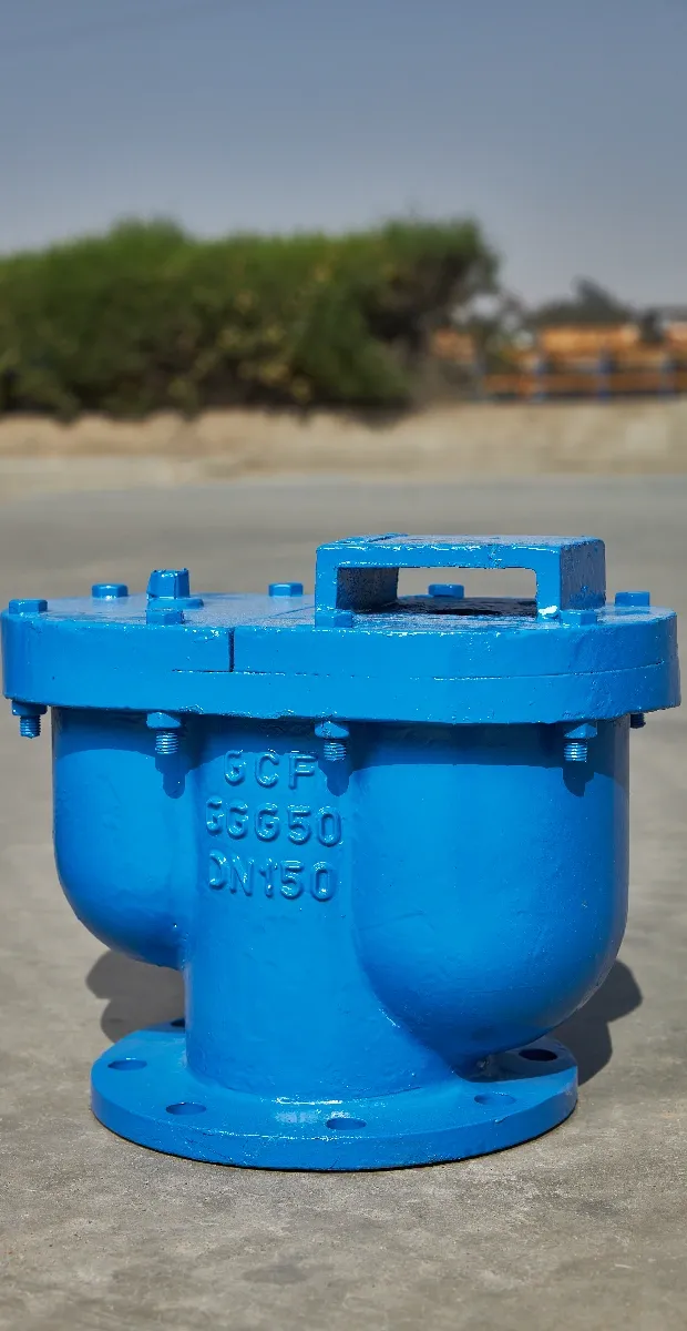 Water Air Valve (6200,6300)